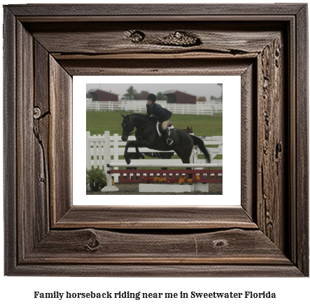 family horseback riding near me in Sweetwater, Florida